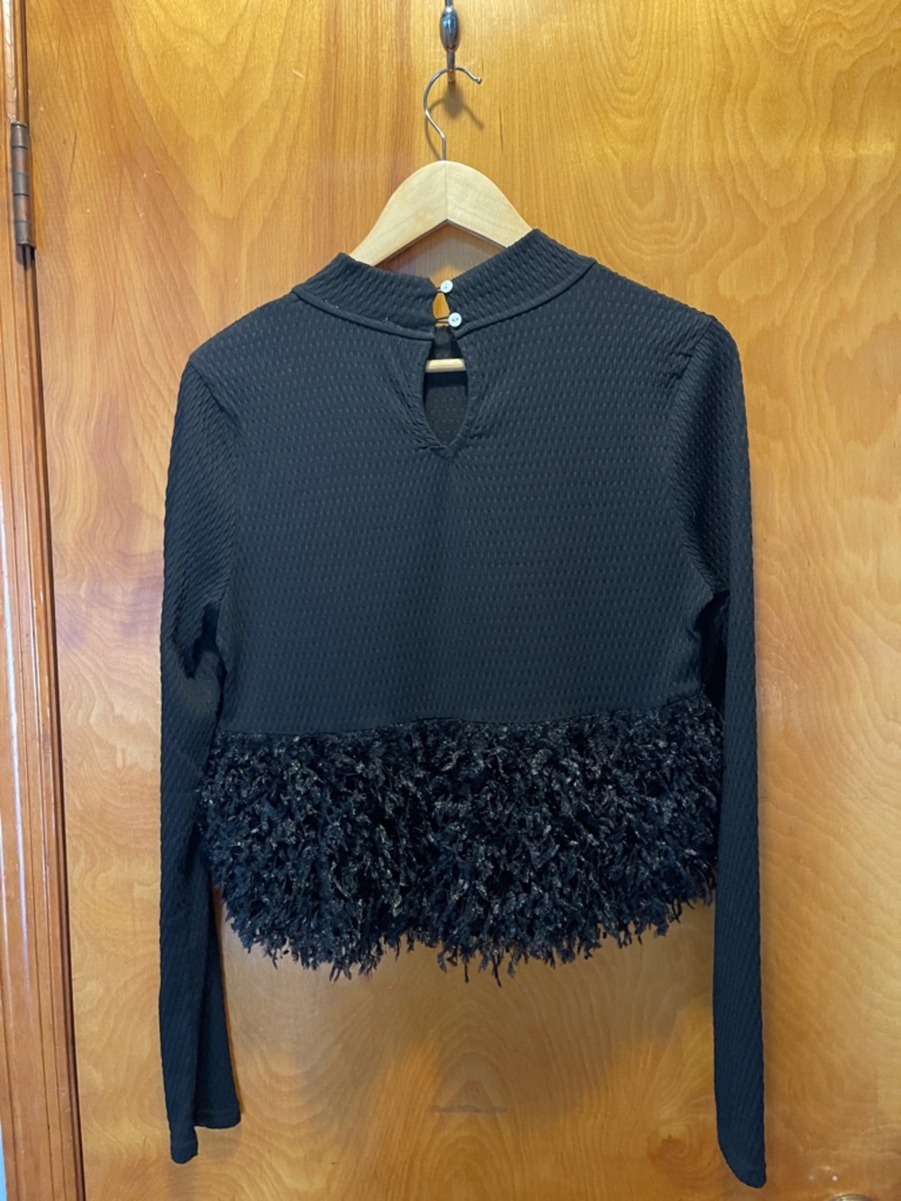 Anthropologie Black Long-Sleeve Cropped Top with Feathered Hem - Picture 5 of 8